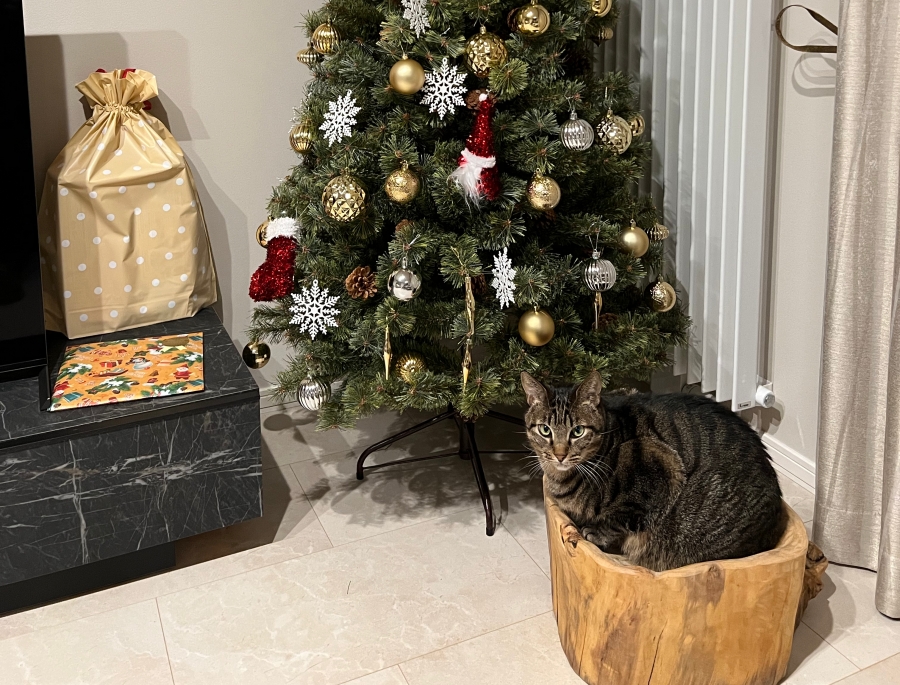 DIYで作ったペット用丸太ベッドの画像