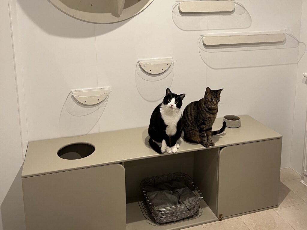 DIYで作った猫用トイレ収納棚と猫の画像