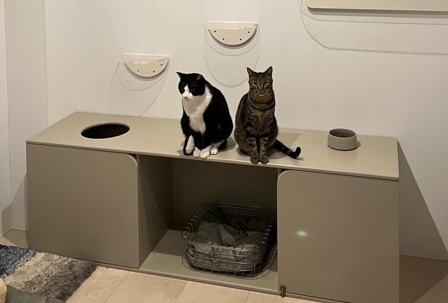 面取り加工によって角を丸くして作った猫のトイレ収納棚