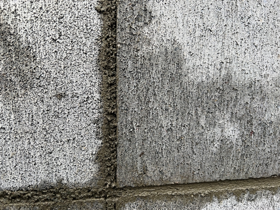 目地のモルタルが乾き始めた頃の画像